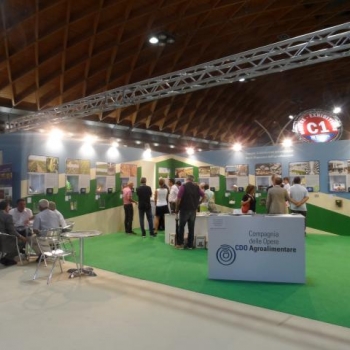 CDO Agroalimentare al Meeting 2013
