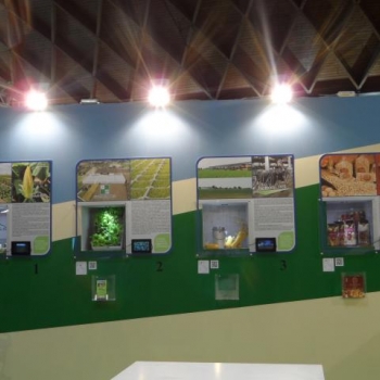 CDO Agroalimentare al Meeting 2013