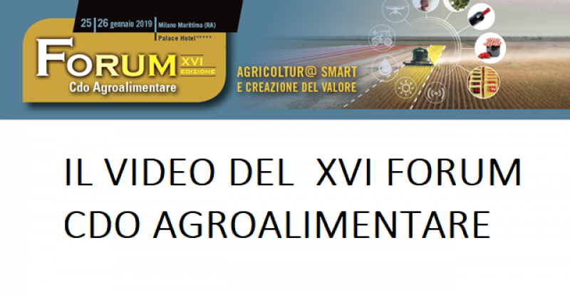 IL VIDEO DEL FORUM XVI EDIZIONE