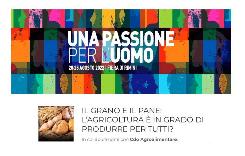 Registrazione dell'incontro "IL GRANO E IL PANE: L'AGRICOLTURA E' IN GRADO DI PRODURRE PER TUTTI?"  al Meeting di Rimini 2022